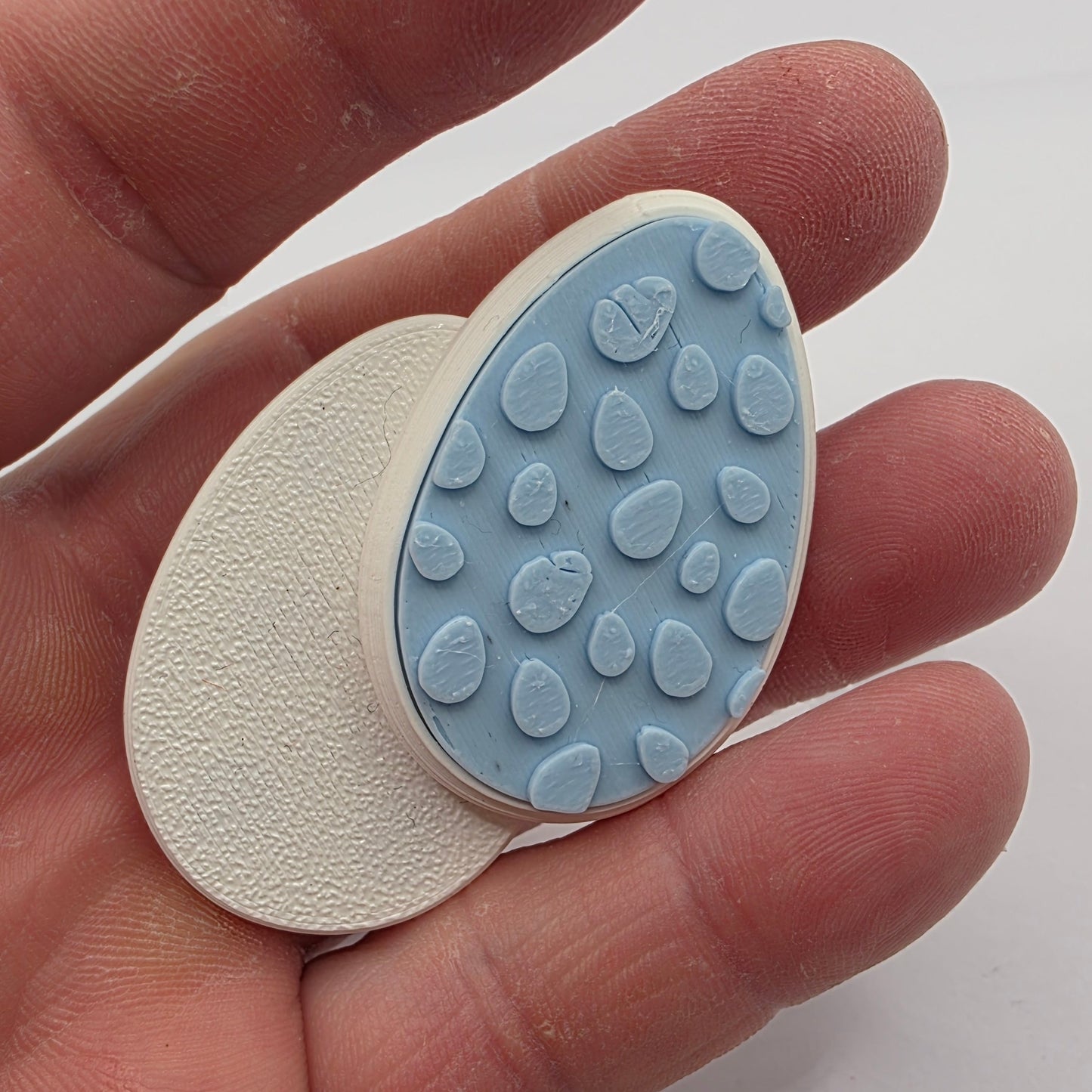 blue egg magnetic slider
