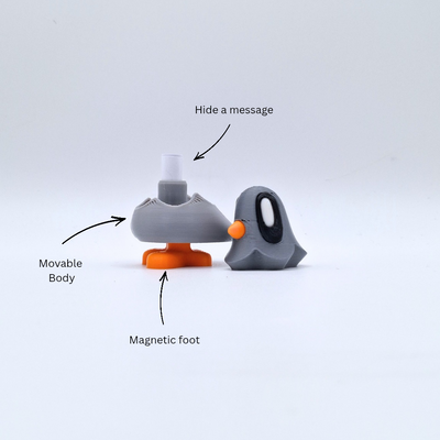 Pigeon with note and magnet in foot