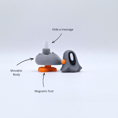 Pigeon with note and magnet in foot