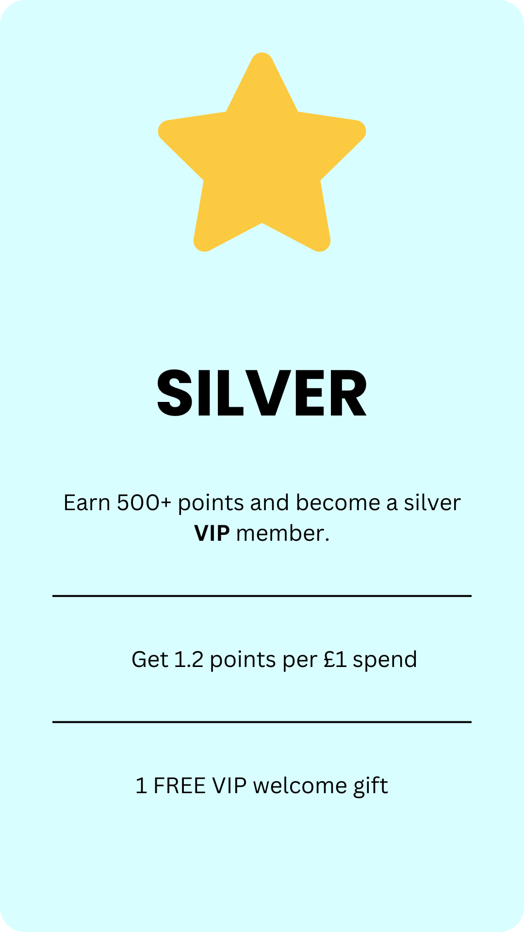 fidget toy sensory toy SILVER reward points system