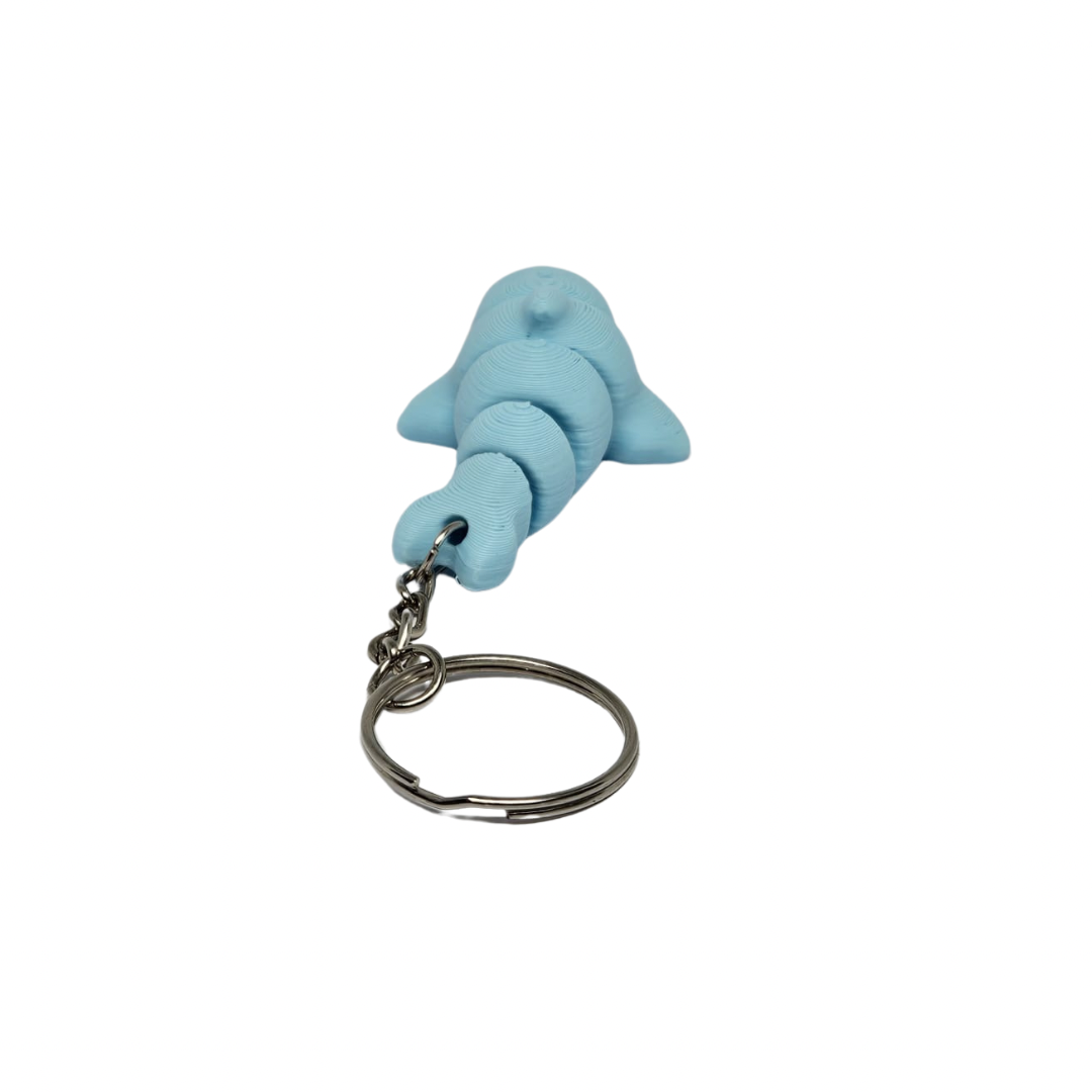 Dolphin Keyring