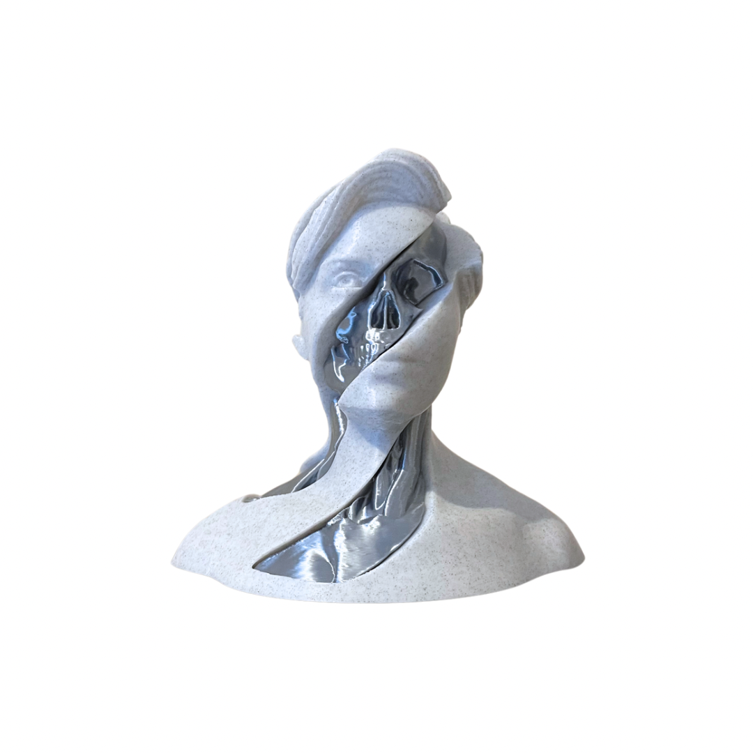 Lady and Skull