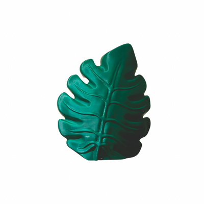 Monstera Leaf Vase