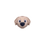 Animal Clickers