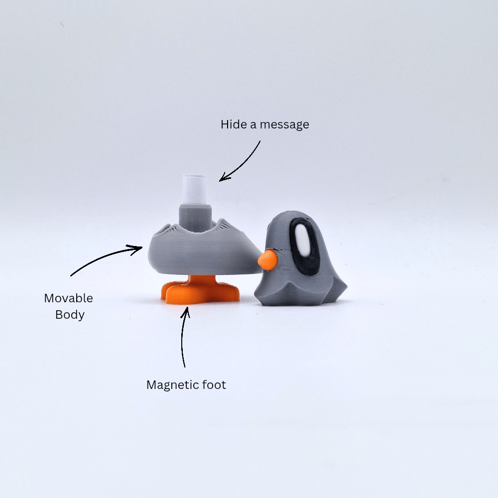 Pigeon with note and magnet in foot