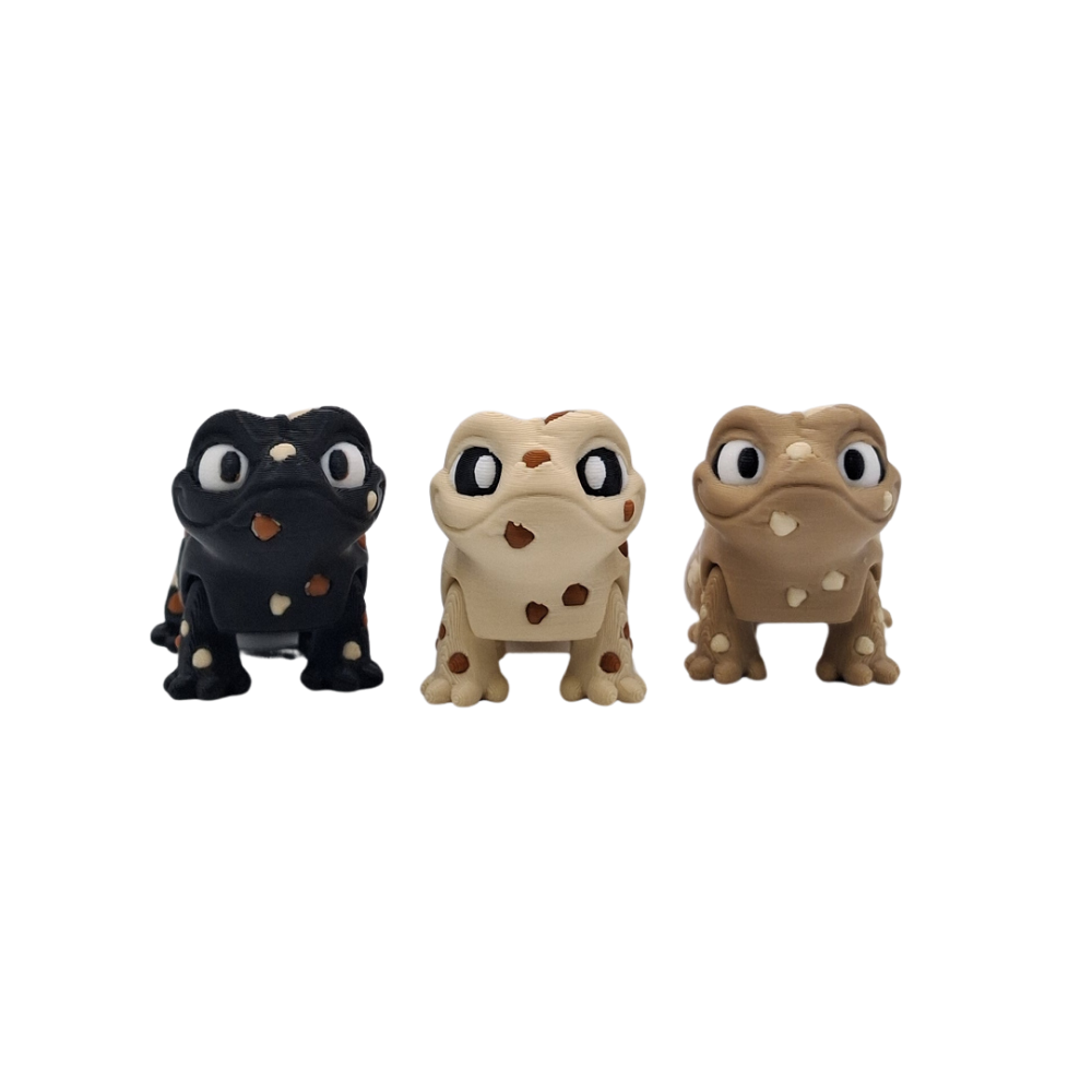 Cookie Geko's
