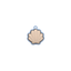 Shell Clicker in pastel blue and beige colors with a soft shell design and quiet click feature.