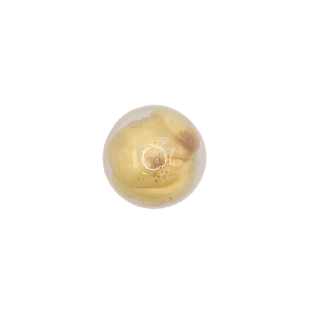 potato squish dans fidget foundry mouldable squishy in a plastic ball casing